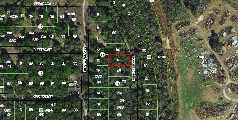 919 Ferncreek Avenue, Inverness, FL 34453 - #1