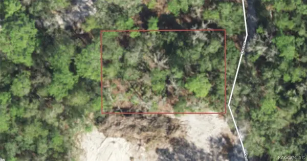 3720 S Heron Point, Inverness, FL 34450
