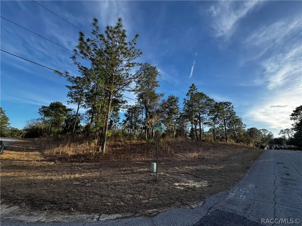 1386 W Plum Place, Beverly Hills, FL 34465 - #1