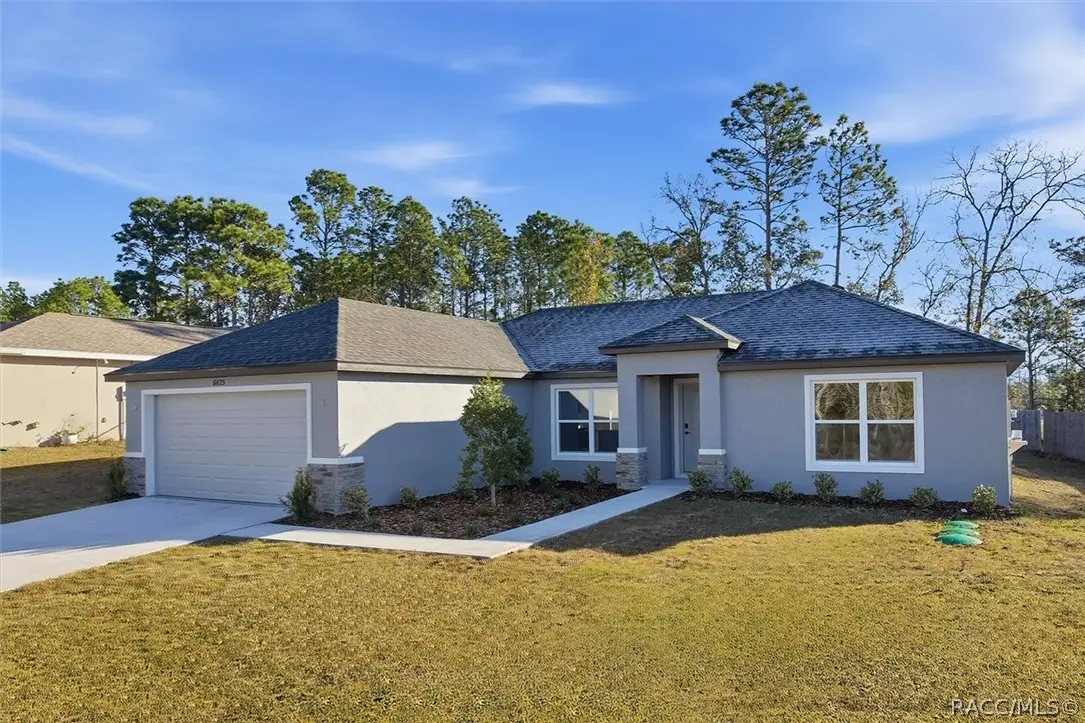 10302 N Athenia Drive, Citrus Springs, FL 34434 - #1