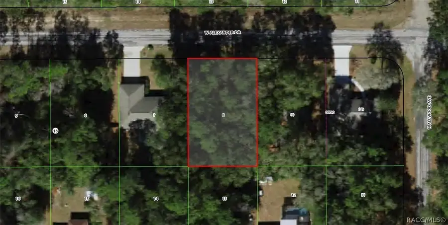 1588 W Alexander Drive, Citrus Springs, FL 34434 - #3