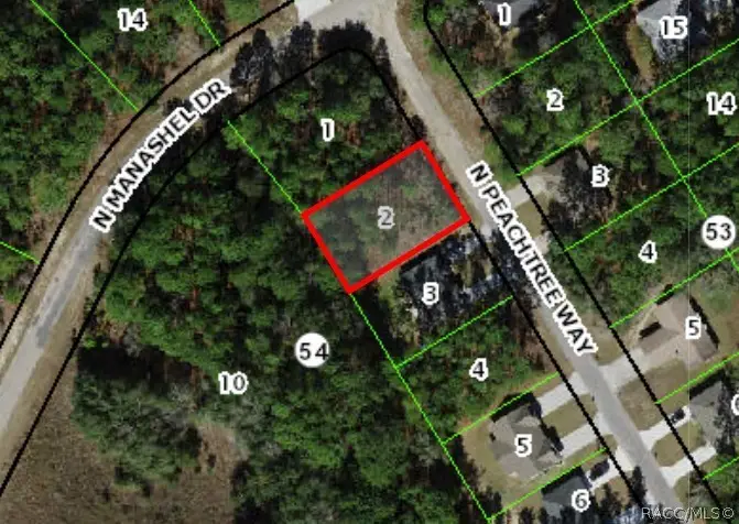 9390 N Peachtree Way, Citrus Springs, FL 34434 - #1