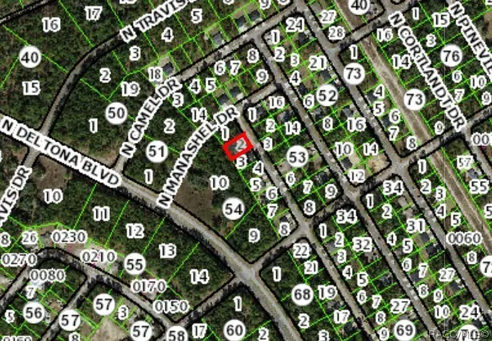 9390 N Peachtree Way, Citrus Springs, FL 34434 - #3