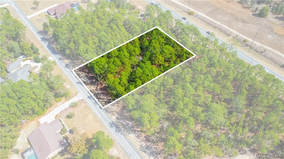 5100 N Red Ribbon Point, Beverly Hills, FL 34465 - #1