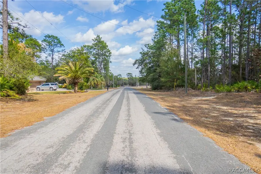 5100 N Red Ribbon Point, Beverly Hills, FL 34465 - #2
