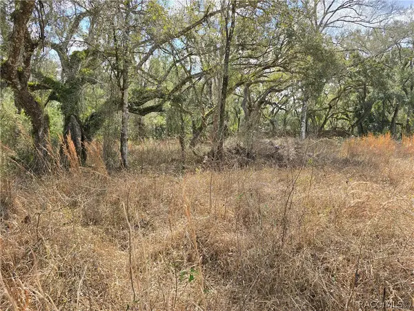 6436 Yam Street, Webster, FL 33597