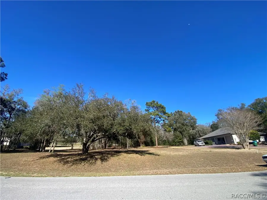 3834 W Black Diamond Circle, Lecanto, FL 34461 - #3