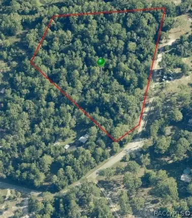 7305 W Vineyard Drive, Homosassa, FL 34448 - #2