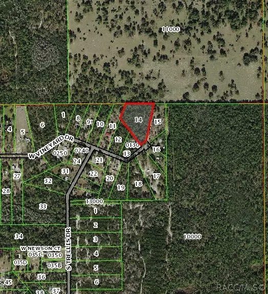 7305 W Vineyard Drive, Homosassa, FL 34448 - #3