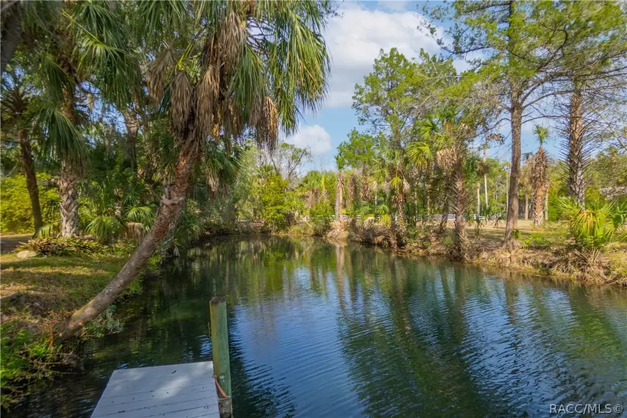 2283 S Todd Point, Homosassa, FL 34448 - #3