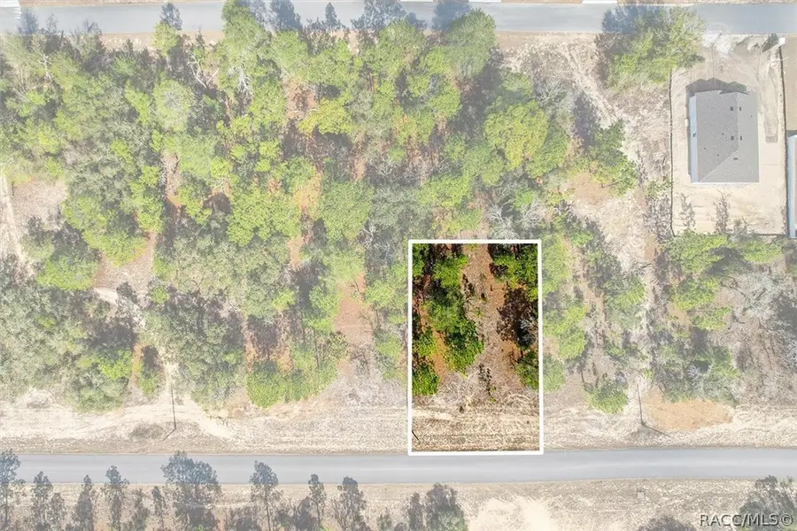 2855 W Gaucho Drive, Citrus Springs, FL 34433 - #3