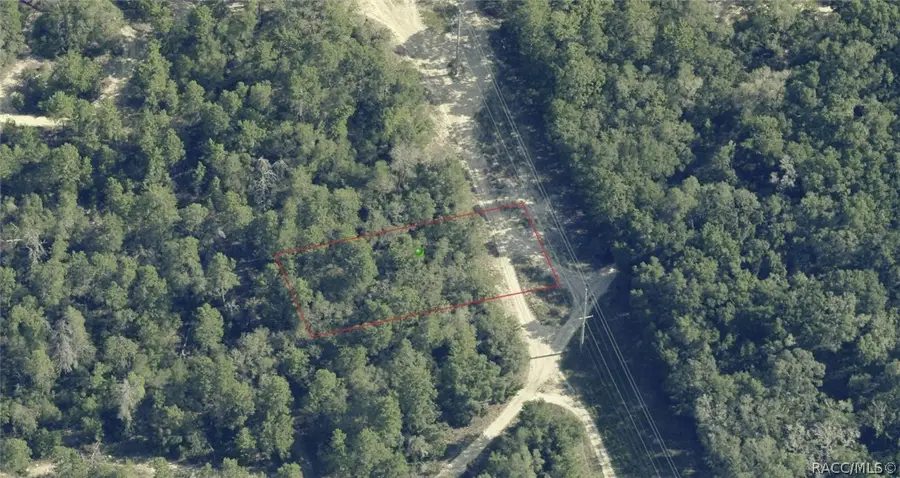 107 S Cristy Avenue, Inverness, FL 34452 - #2