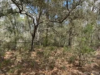 2910 Collins Street, Inverness, FL 34452 - #2