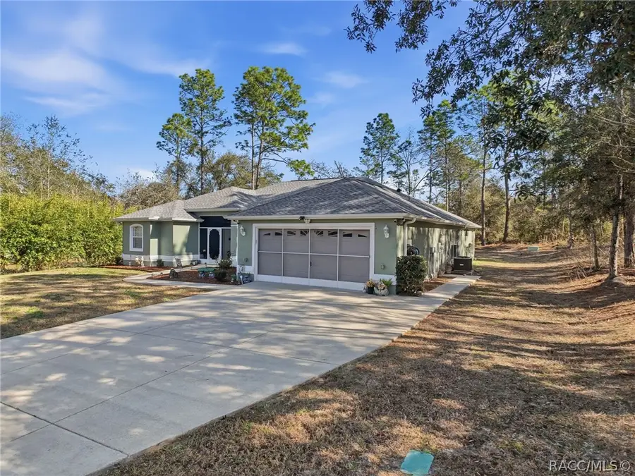 9131 N Alpinia Drive, Citrus Springs, FL 34434 - #2