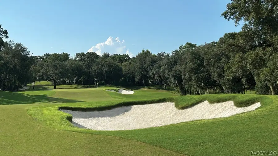 2572 N Crosswater Path, Lecanto, FL 34461 - #3