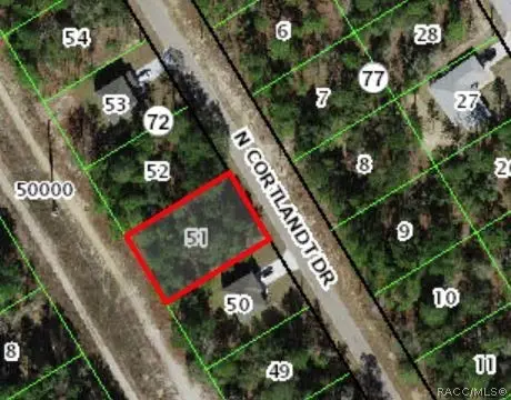 9292 N Cortlandt Drive, Citrus Springs, FL 34434 - #2