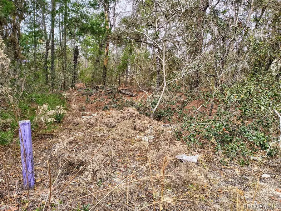 9292 N Cortlandt Drive, Citrus Springs, FL 34434 - #3