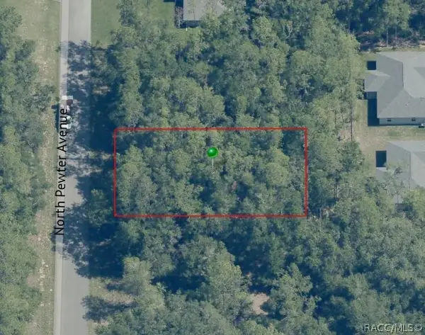 9831 N Pewter Avenue, Dunnellon, FL 34434