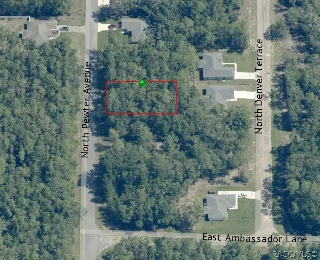 9831 N Pewter Avenue, Dunnellon, FL 34434 - #2