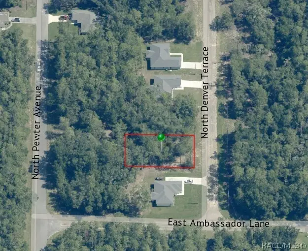 9806 N Denver Terrace, Citrus Springs, FL 34434 - #2