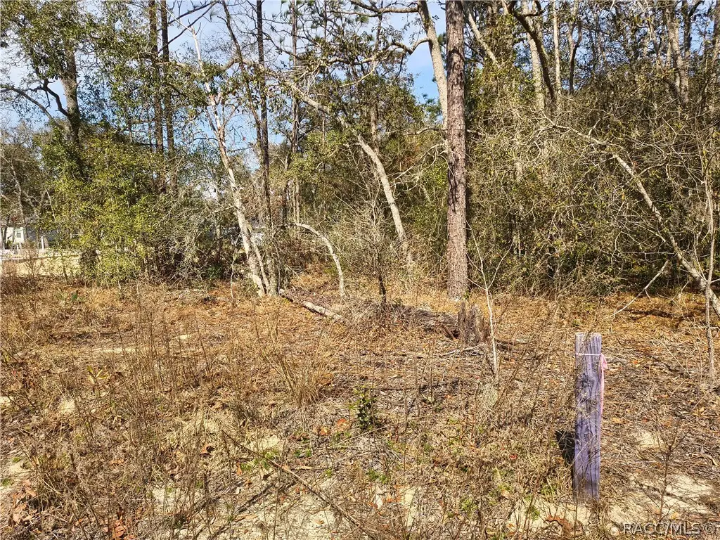 211 W Brimson Place, Citrus Springs, FL 34434 - #1