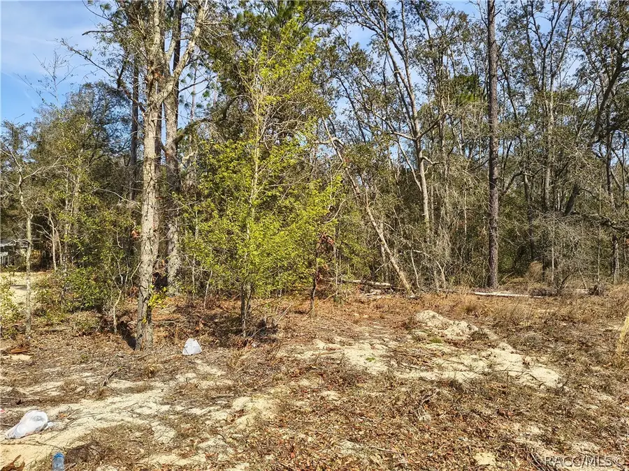 211 W Brimson Place, Citrus Springs, FL 34434 - #3