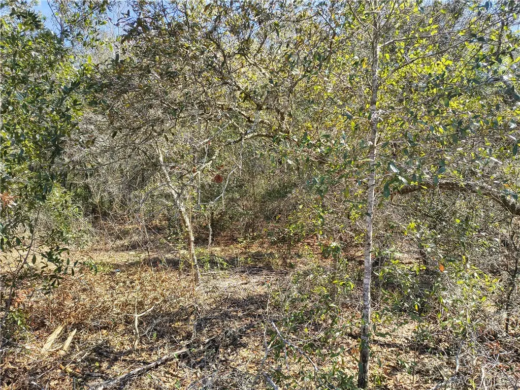 8867 N Citrus Springs Boulevard, Citrus Springs, FL 34433 - #1