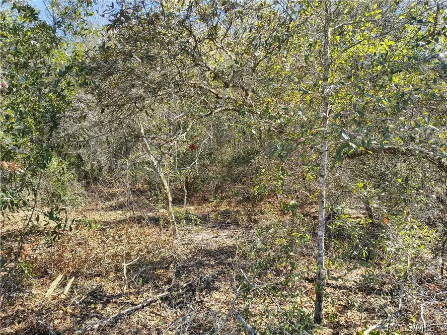 8867 N Citrus Springs Boulevard, Citrus Springs, FL 34433 - #3