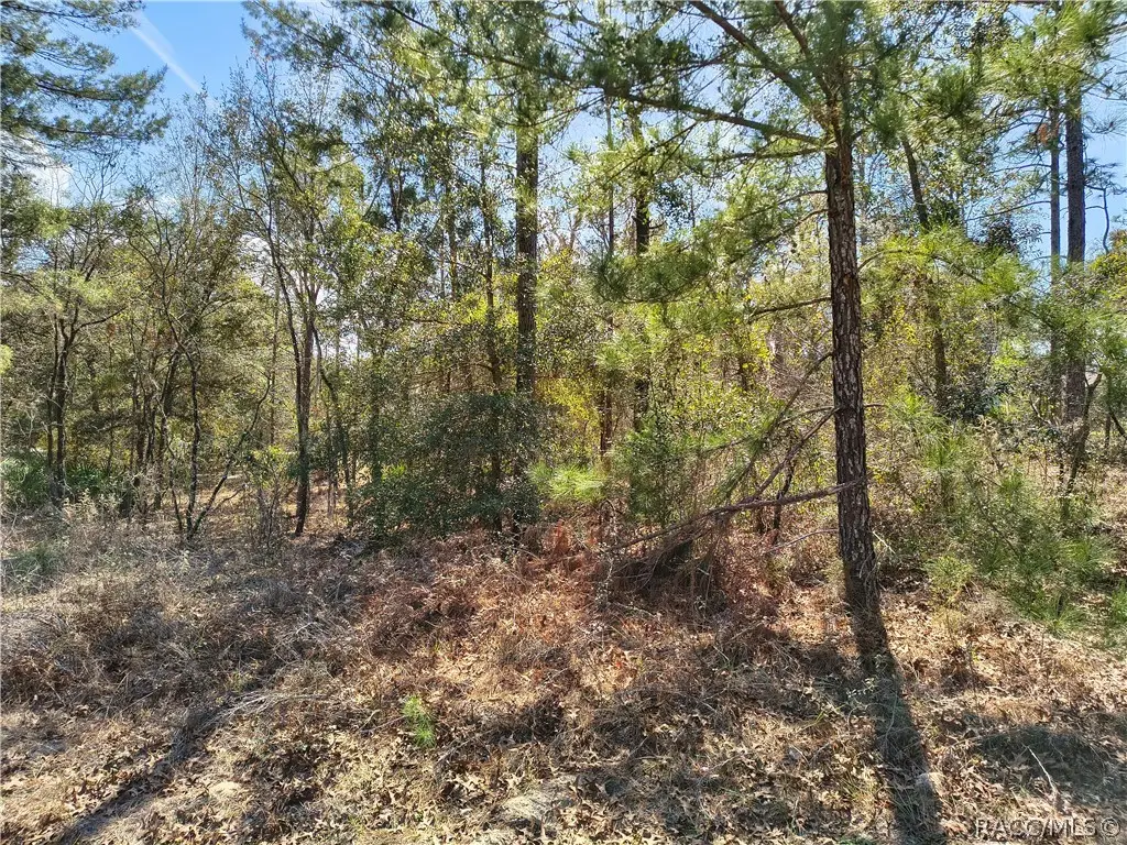 7340 N Veronica Drive, Dunnellon, FL 34433 - #1