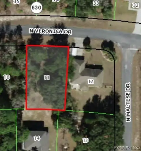 7340 N Veronica Drive, Dunnellon, FL 34433 - #2