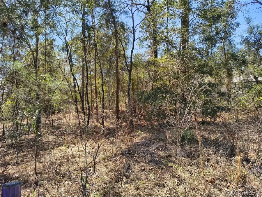 7340 N Veronica Drive, Dunnellon, FL 34433 - #3