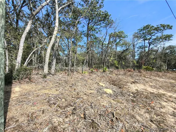 579 W Horizon Lane, Citrus Springs, FL 34434