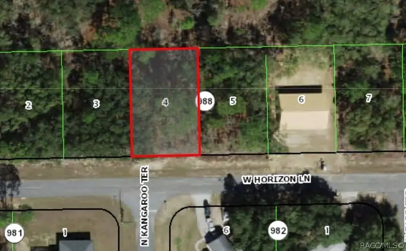 579 W Horizon Lane, Citrus Springs, FL 34434 - #2