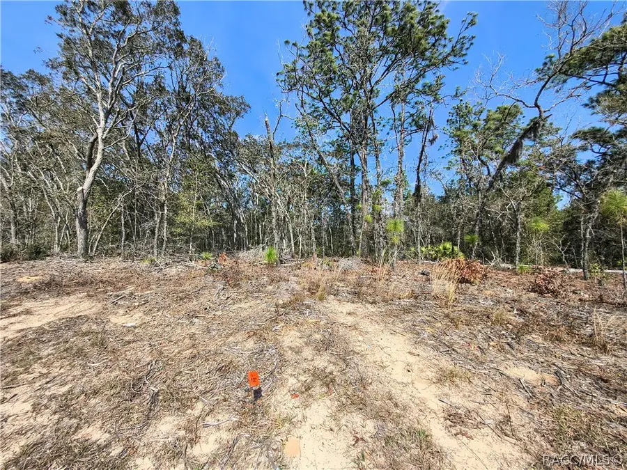 579 W Horizon Lane, Citrus Springs, FL 34434 - #3