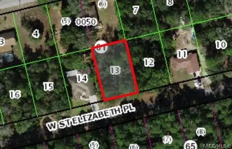 1391 W Saint Elizabeth Place, Citrus Springs, FL 34434 - #2