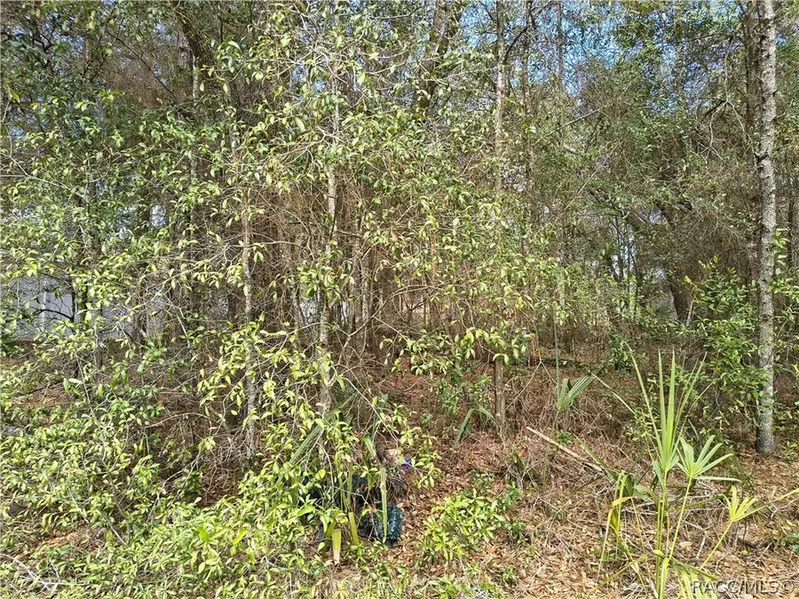 1391 W Saint Elizabeth Place, Citrus Springs, FL 34434 - #3