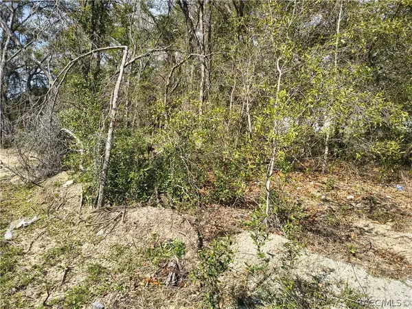 9094 N Cortlandt Drive, Citrus Springs, FL 34434