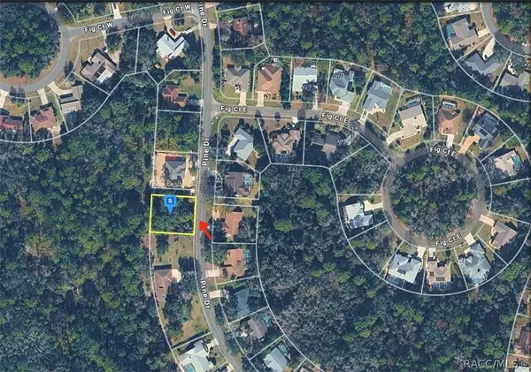 32 Pine Drive, Homosassa, FL 34446