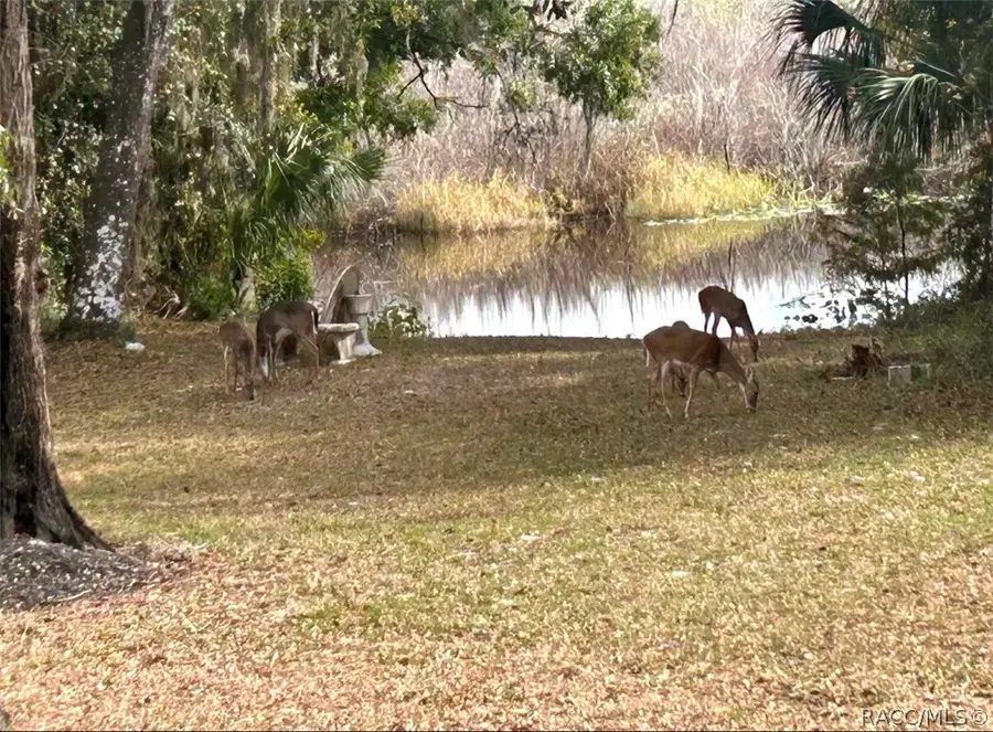 4185 S Spaniel Trail, Inverness, FL 34450 - #3