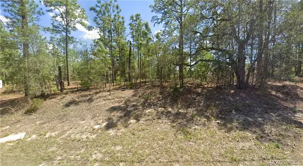 2551 W Sheila Drive, Citrus Springs, FL 34433