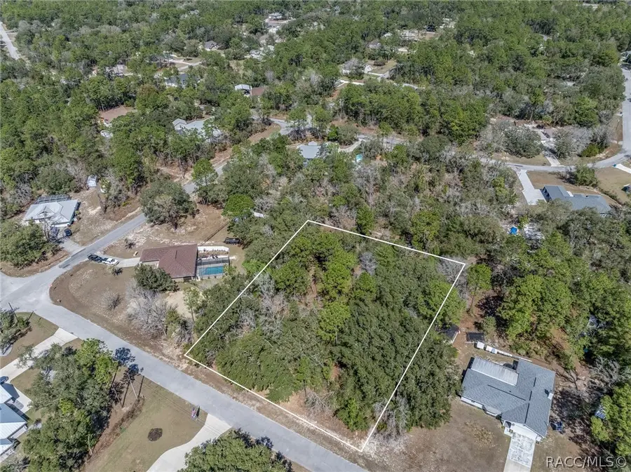 4423 N Lena Drive, Beverly Hills, FL 34465 - #2