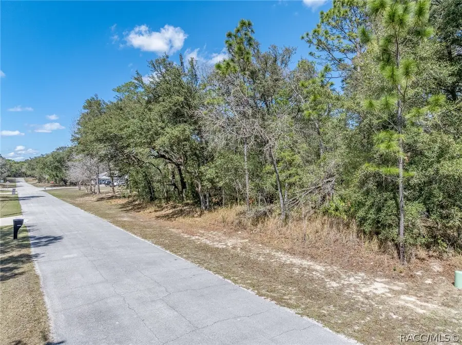 4423 N Lena Drive, Beverly Hills, FL 34465 - #3