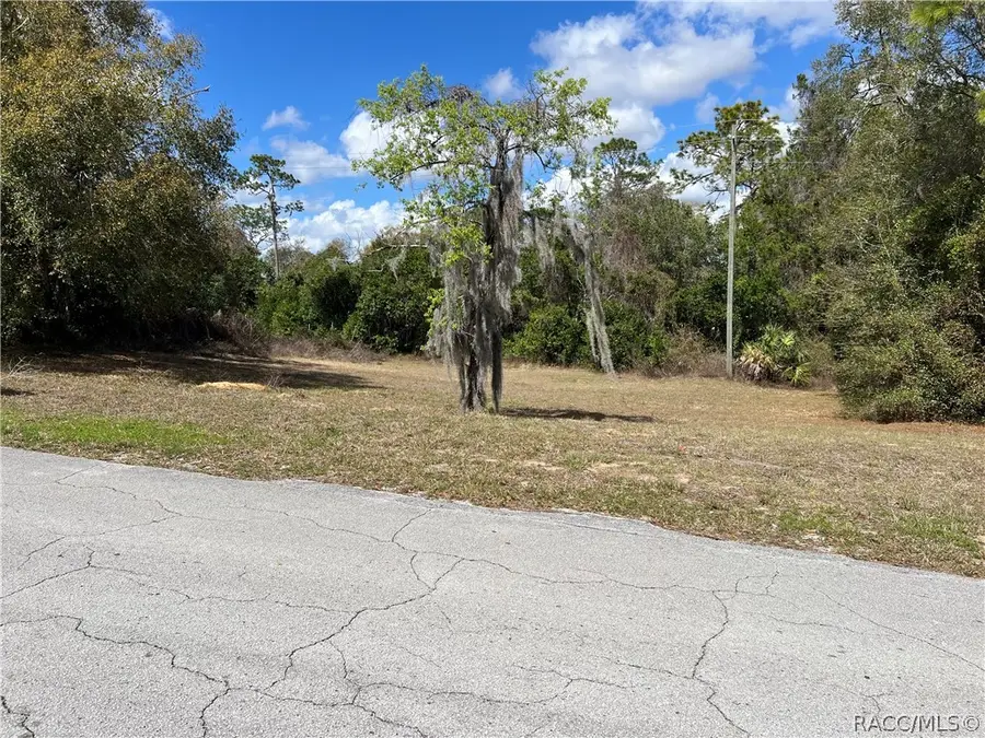 420 Cabot Street, Inverness, FL 34452 - #2