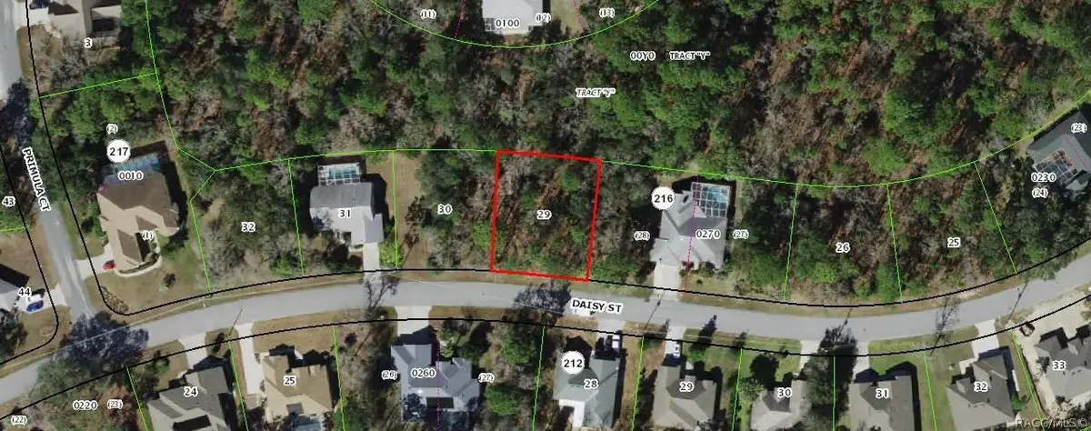 147 Daisy Street, Homosassa, FL 34446 - #1
