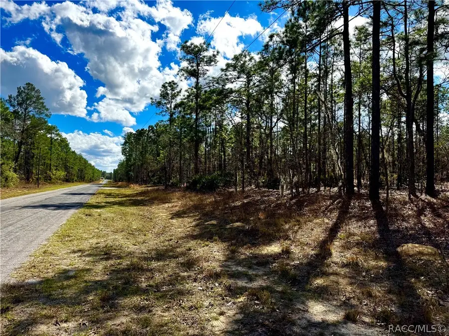 7778 N Gibralter Drive, Dunnellon, FL 34434 - #2