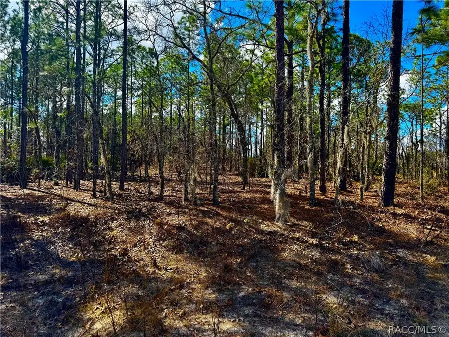 7778 N Gibralter Drive, Dunnellon, FL 34434 - #3