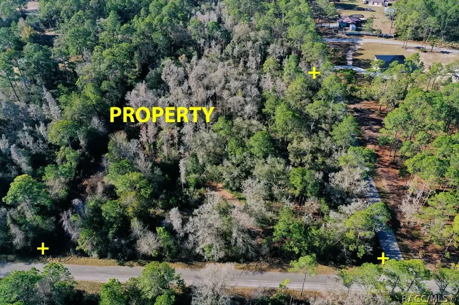 9485 N Beechtree Way, Crystal River, FL 34428 - #3