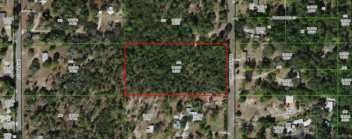 6464 Canna Lily Avenue, Homosassa, FL 34446 - #1
