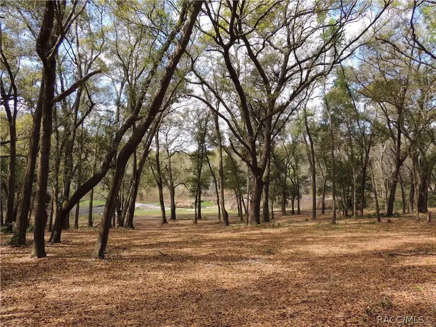 0000 Piney Ridge Boulevard, Fruitland Park, FL 34731 - #3