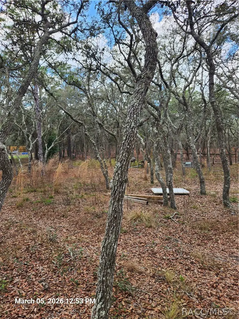 5686 Butan Point, Homosassa, FL 34446 - #3